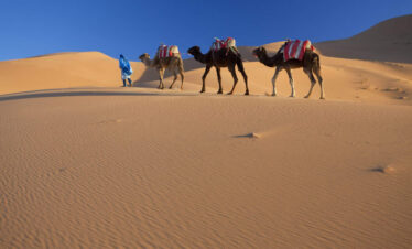 13 Days Imperial Morocco Tour