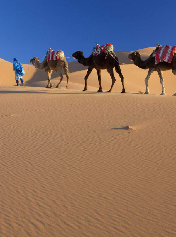 13 Dias De Tour Imperial De Marrocos Desde Casablanca