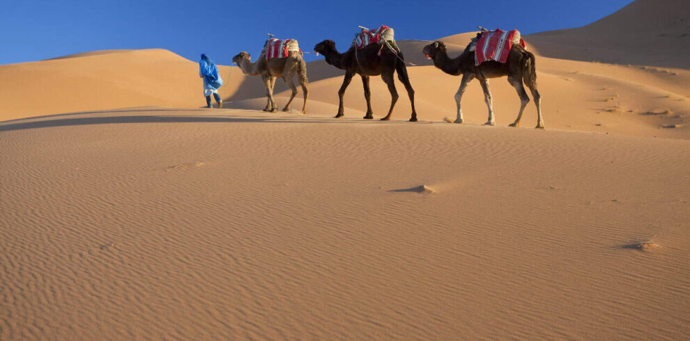 13 Dias De Tour Imperial De Marrocos Desde Casablanca