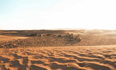 3 Days Desert Tour from Marrakech to Fes