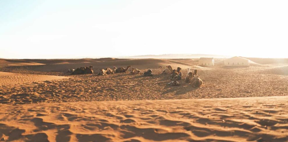 3 Days Desert Tour from Marrakech to Fes