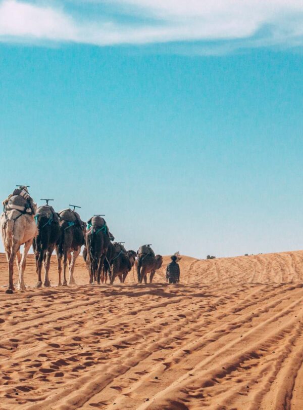 Passeio de 3 Dias de Fes ao Deserto de Merzouga