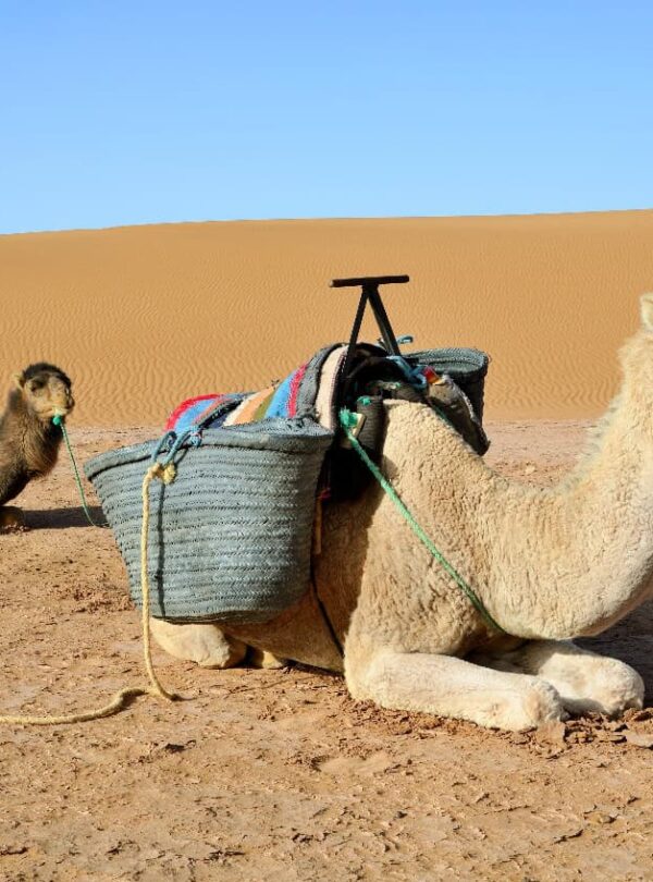 3 Dias Viagem de Marrakech a Fez pelo Deserto
