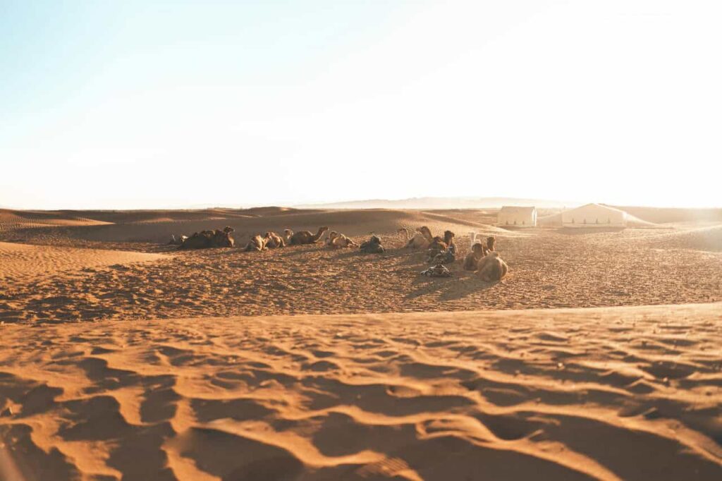 Viagem de 3 Dias pelo Deserto de Marrakech a Fes