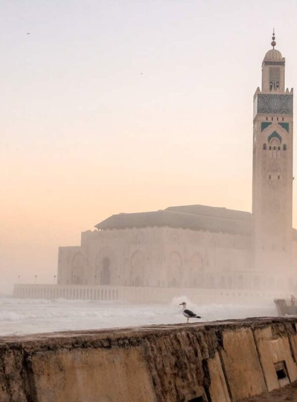 Viagem de 4 Dias em Marrocos desde Tânger