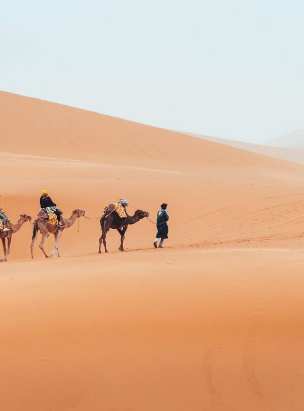 6 Dias De Tour De Fez A Marraquexe E Sul De Marrocos