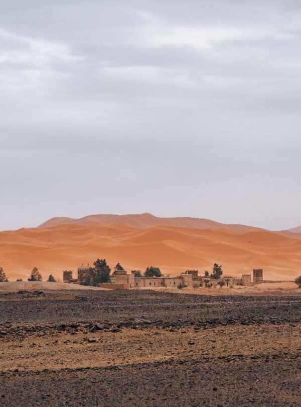 8 Dias De Excursão Cultural E Costeira Em Marrocos A Partir De Fez