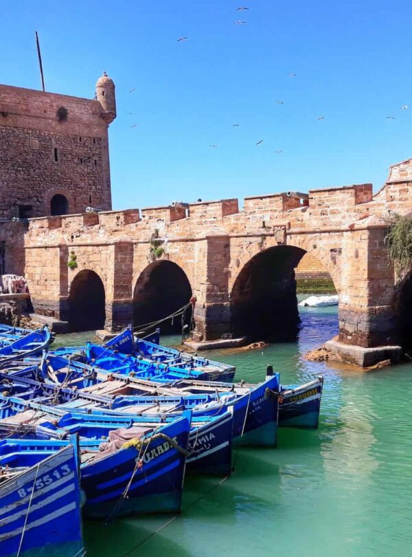 Excursão de 1 Dia a Essaouira