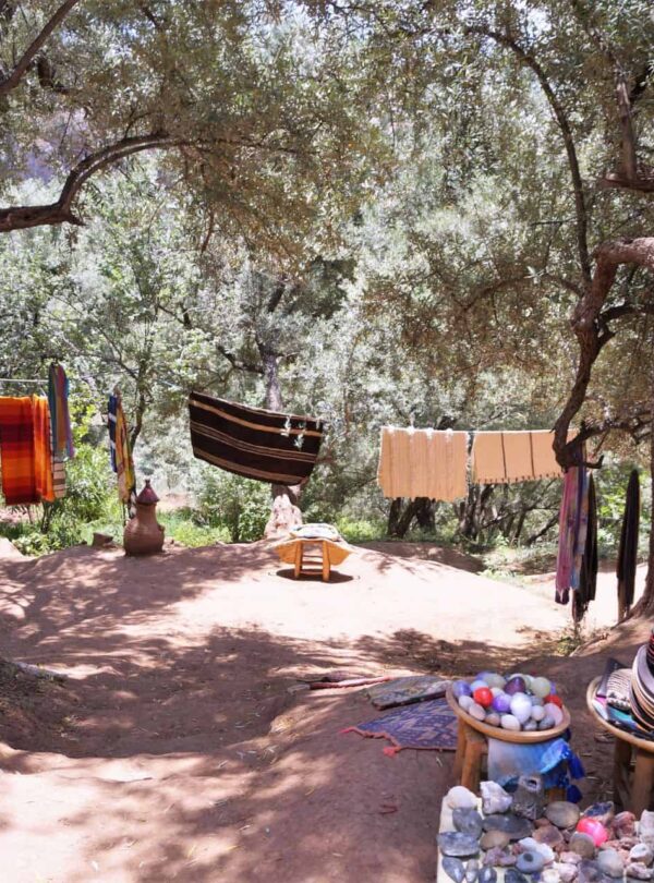 Excursão de 1 Dia às Cascatas de Ouzoud