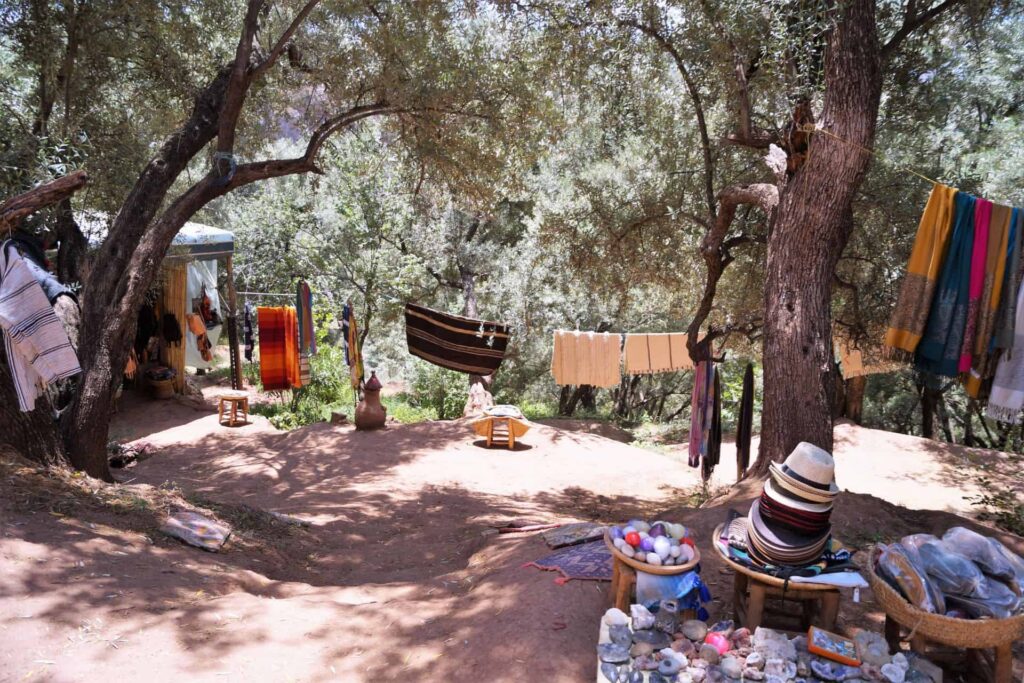 Day Trip to Ouzoud Waterfalls from Marrakech