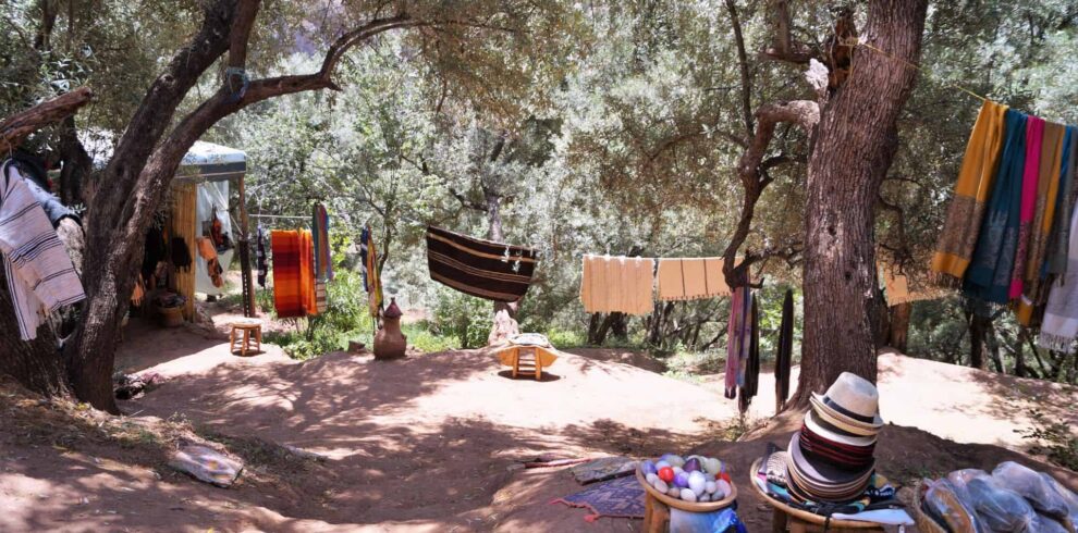 Day Trip to Ouzoud Waterfalls from Marrakech