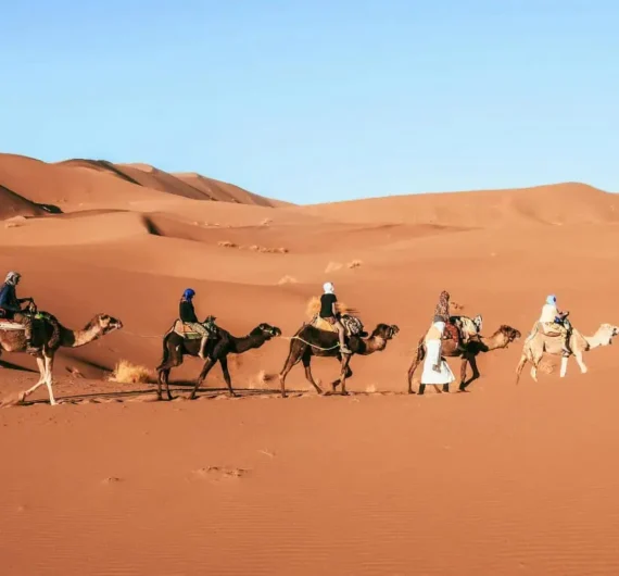 Sud Expeditions – Tours em Marrocos e Viagens no Deserto