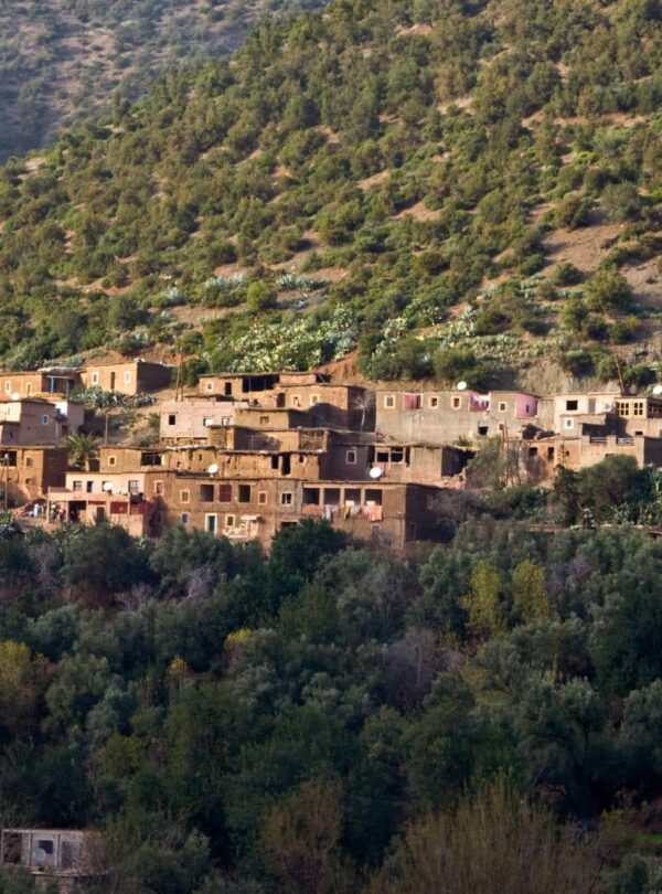 Excursão de 1 Dia ao Vale de Ourika