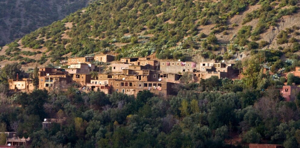 Excursão de 1 Dia ao Vale de Ourika